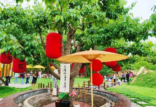 “五一”出游记 | 寻一处悠然,把日子过成诗——七里河区拙舍·草庐