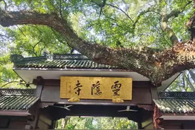 杭州一日游攻略—灵隐寺、飞来峰、西湖图片
