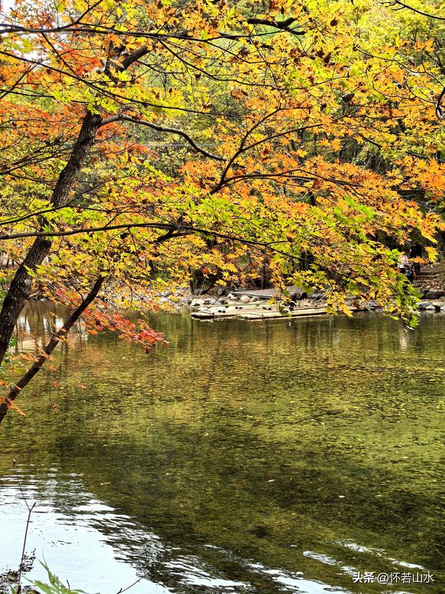 2025辽宁赏秋之旅日记(2)——游览丹东蒲石河森林公园