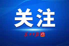 2024年度武汉市职工医保缴费基数标准公布，自12月1日起开始执行图片