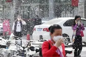 严惩黑手！必须彻查引进日本杨树源头，杨絮已造成污染和感染图片