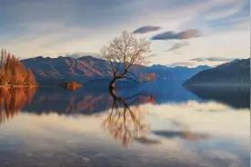 福彩3D今晚推荐最新号必成功拿下：561 721 791 671 275～拭目以待图片