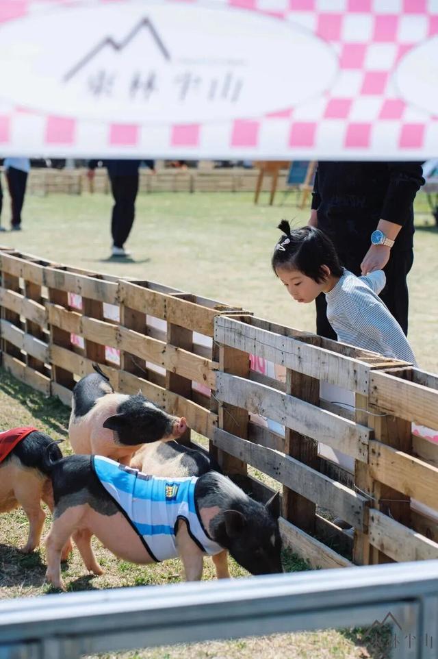 春假，在江阴“村”游吧！