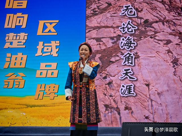 西藏昂仁艺术团湖北云梦行 用歌舞编织文化交流画卷