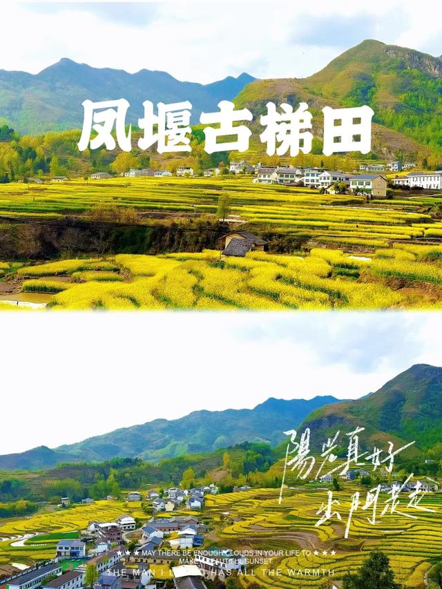 周末出游 | 西安出发6条踏青赏花自驾游路线