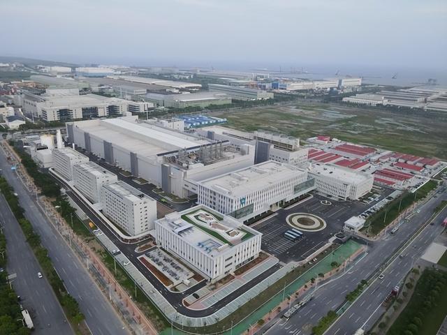 中美握手后，中国腾出精力与荷兰算账，英媒：中国成了欧洲新教父