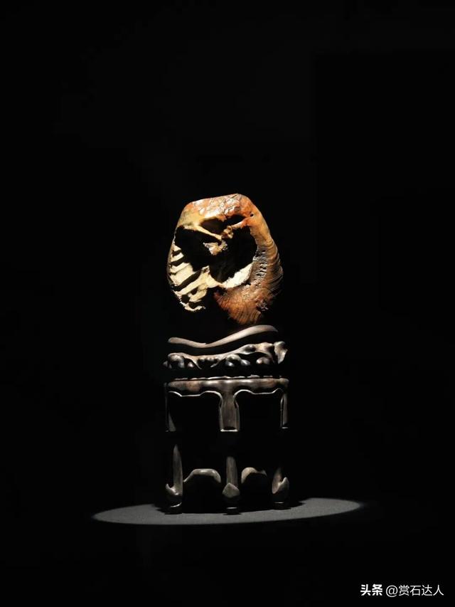 2026春季阿拉善玉·观赏石文化旅游活动盛大启幕，精品奇石欣赏