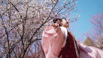 冬日寻梅记：黄陂这两处秘境，已被梅香腌入味！