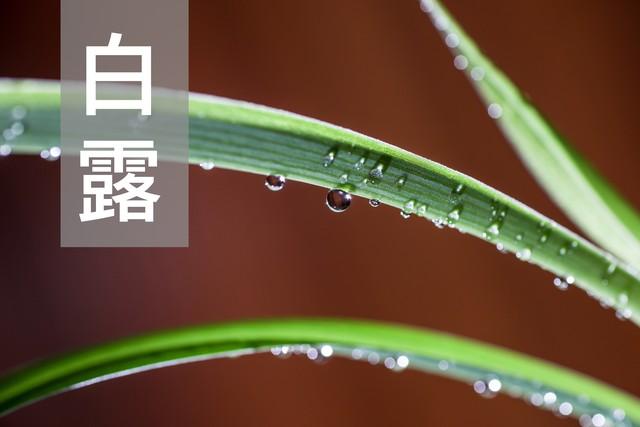 “白天白露，单衣过冬；夜晚白露，冻死老牛”，今年白露在啥时候