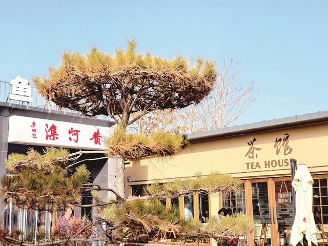 我家住在黄河岸边