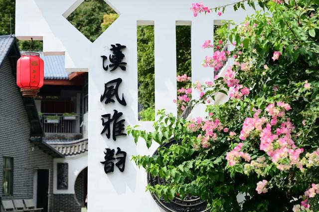 走，一起上春山！清明假期出发观音山，花神约您来见~