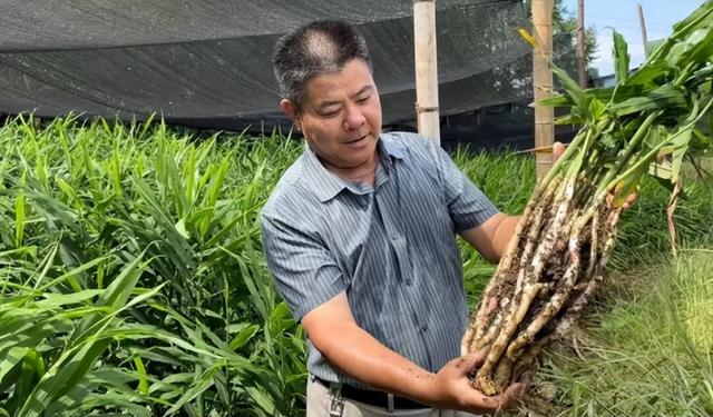 三月三嗨玩全州，“土货圩市”不能错过！球赛、音乐会、美食、土特产攻略在此