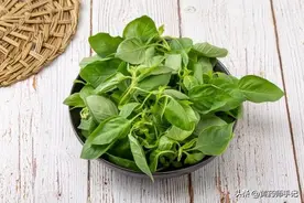 分不清风寒风热？这种神奇叶子，风寒风热都能用，还能当菜吃图片