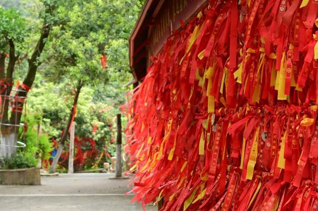 4月4日，莲花花神邂逅赛博机器人，邀您玩转观音山花朝节