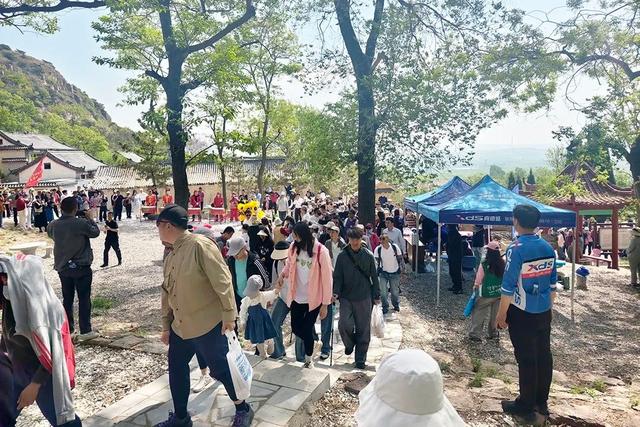 畅游龙城，一路生花——诸城春日精品旅游线路推荐