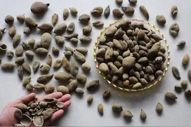 四逆散加减，为什么可以治疗胆结石图片