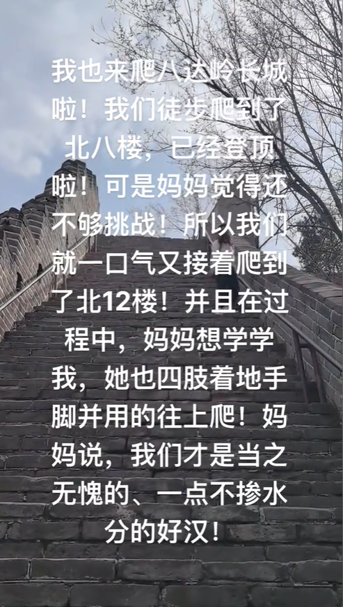 带导盲犬爬泰山后续！账号被扒，带狗到处旅游，基地回应大快人心
