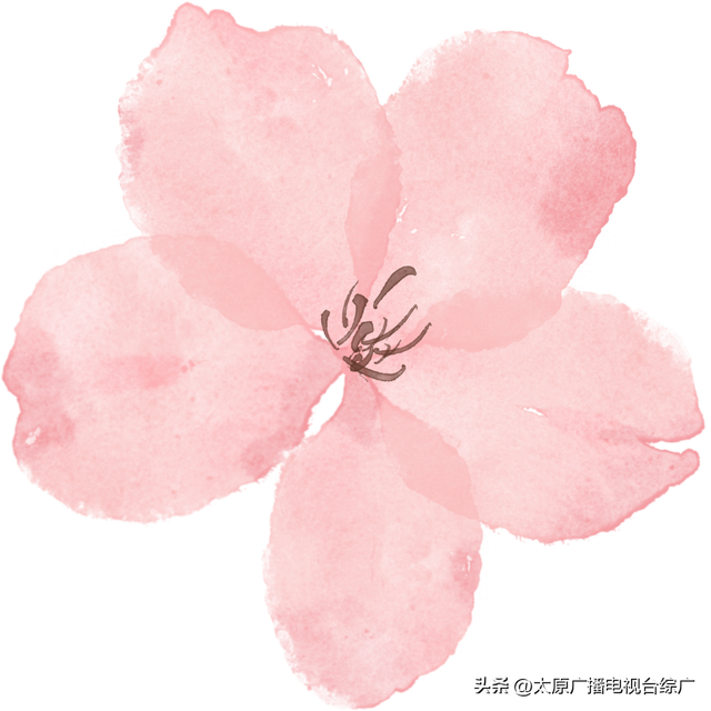 四月芳菲，来万柏林赴一场“桃花之约”