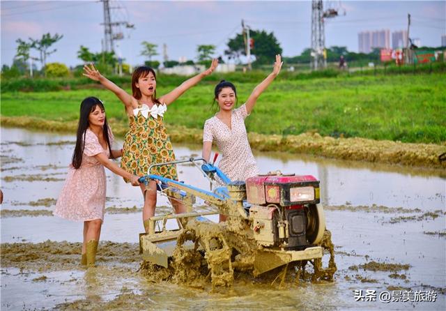 五一假期去哪儿？佛山紫南首届农耕文化节邀您共赴田园之约