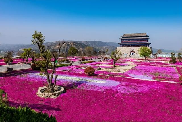 2026年4月第一周 渭南文化旅游资讯微报（组图）