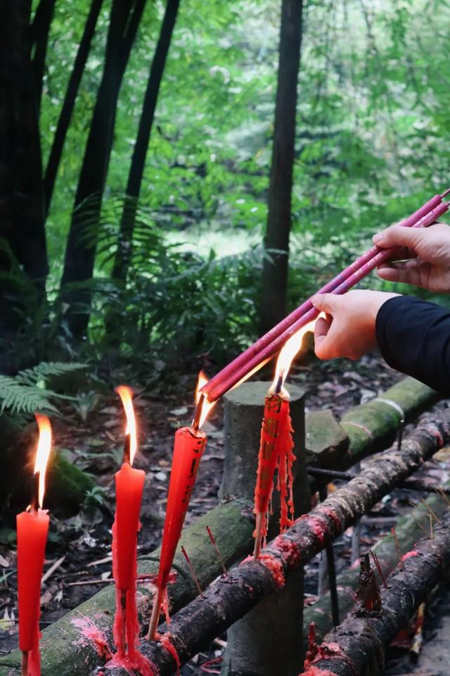 周末就冲！亲测3条被严重低估的徒步线，林海吸氧峡谷石窟！全部免费最快40min飙拢！