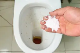 马桶里撒一把，不管多脏多厚的黄渍，水一冲就干净，方法太棒了图片