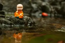 人生后半程，简单生活，做好自己，不忧不惧，沐光而行图片