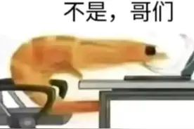 被8U们疯狂整活的“不是哥们🦐”，真的快被玩坏了...图片