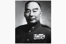 国民党军简介（胡宗南军事集团）图片