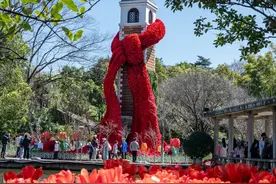 为了这18张照片，我特意飞了趟昆明，值得么？图片