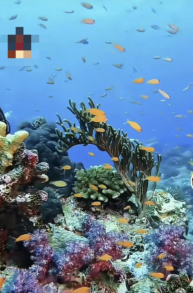 懂事的人	，从来都没被好好疼过