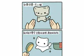 世界破破烂烂小猫缝缝补补🐱图片
