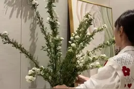 小凤的弟弟高航更新：拍自己的一家三口不香吗？干嘛非请保姆来拍图片