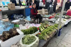 通化县：时令山野菜“C位”上市图片