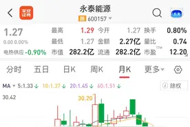 长期持有永泰能源，投资的价值将如何体现。图片