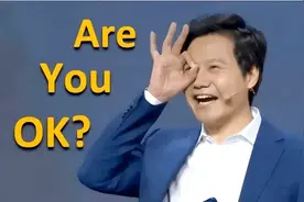 雷军两会比出"OK"手势：从热梗到经济信心，为何万事皆OK？图片