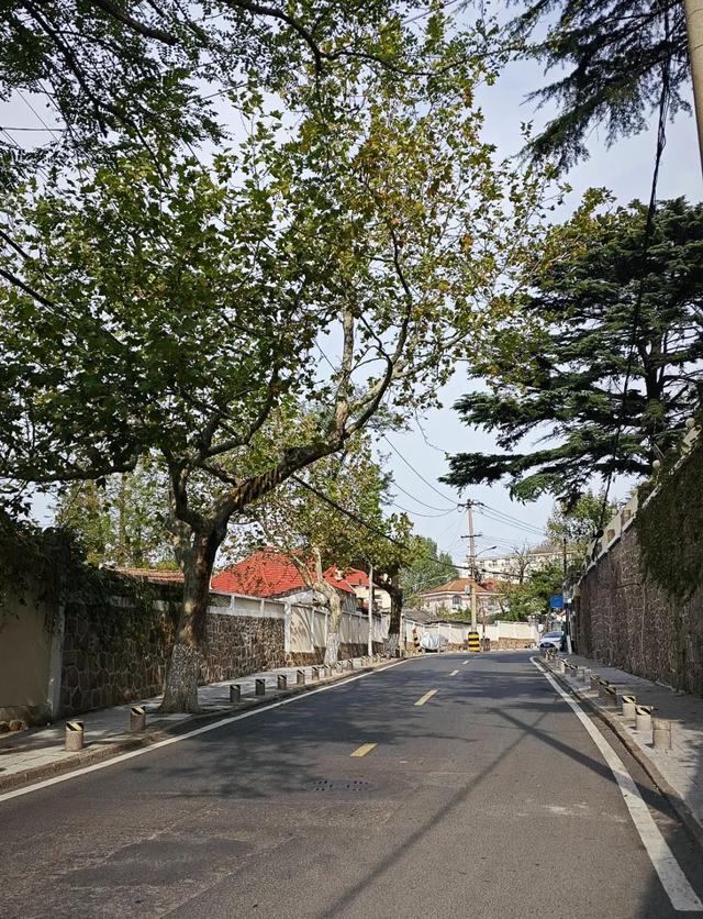 “青岛本地博主”上线！跟着任嘉伦游市南！