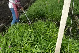 中国未来成长性最高的10个公司浅谈图片