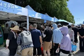 10点不到，全部卖空！今天正式回归：很多人直呼去晚了图片