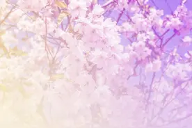 “陈”字怎么读正确读音，五行属什么，“陈”字含义分析？图片