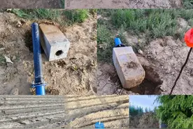 陕西澄城县高标准农田事件揭露！骗补贴、假深水井令人咋舌图片