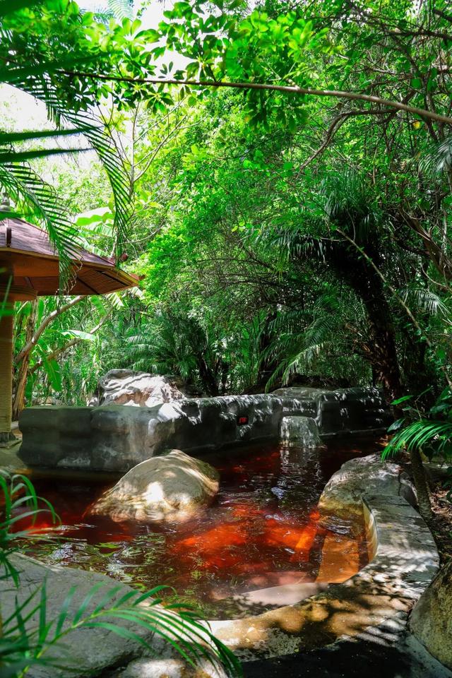 看滇超游保山 | 赴一场大地药方的邀约