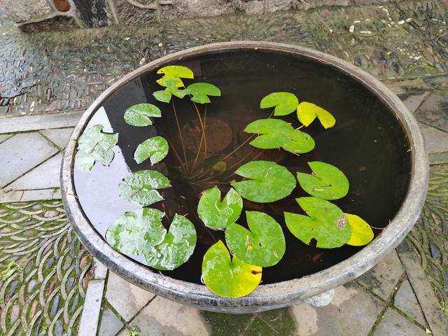 被麦积山“掩盖”的天水：藏着华夏源头的秘密，90%游客没摸清