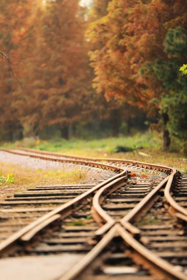 “焦糖色秘境”上线！超级出片！日照这里错过再等一年！