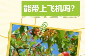 十堰樱桃能带上飞机吗？最新安检提示来了图片