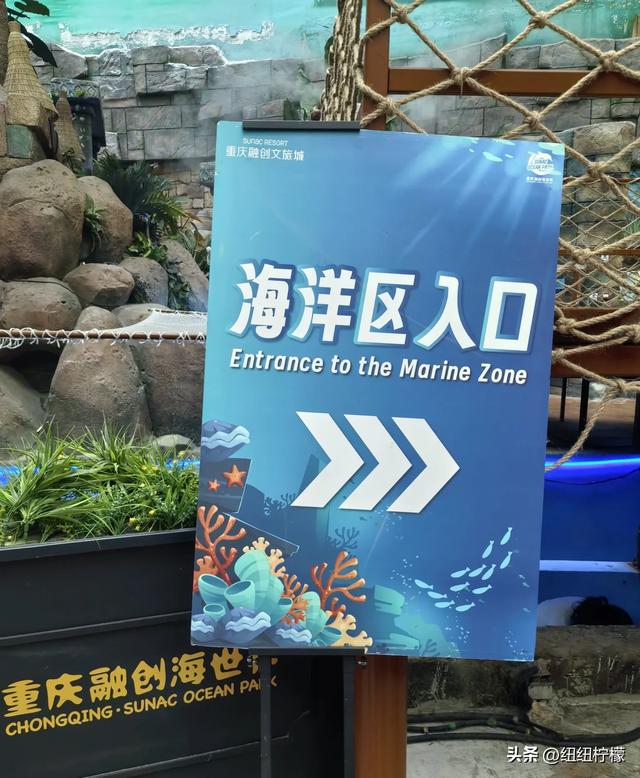 周末,带孩子到商场里的海洋世界玩一玩
