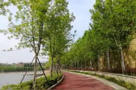 郑州又一公园火了！4700亩“中原版神农架”，遛娃、赏花全免费！图片