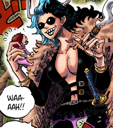 海贼王，神之骑士团11名成员全公开！实际上并没有那么强