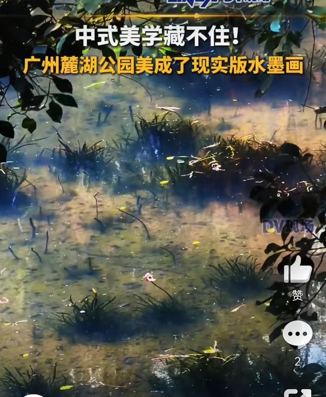 广州公园藏着一幅活水墨画：中式美学原来在身边