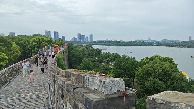 千成万城为何独爱南京?